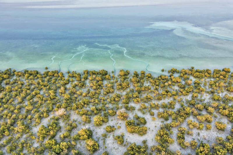 Jubail Island